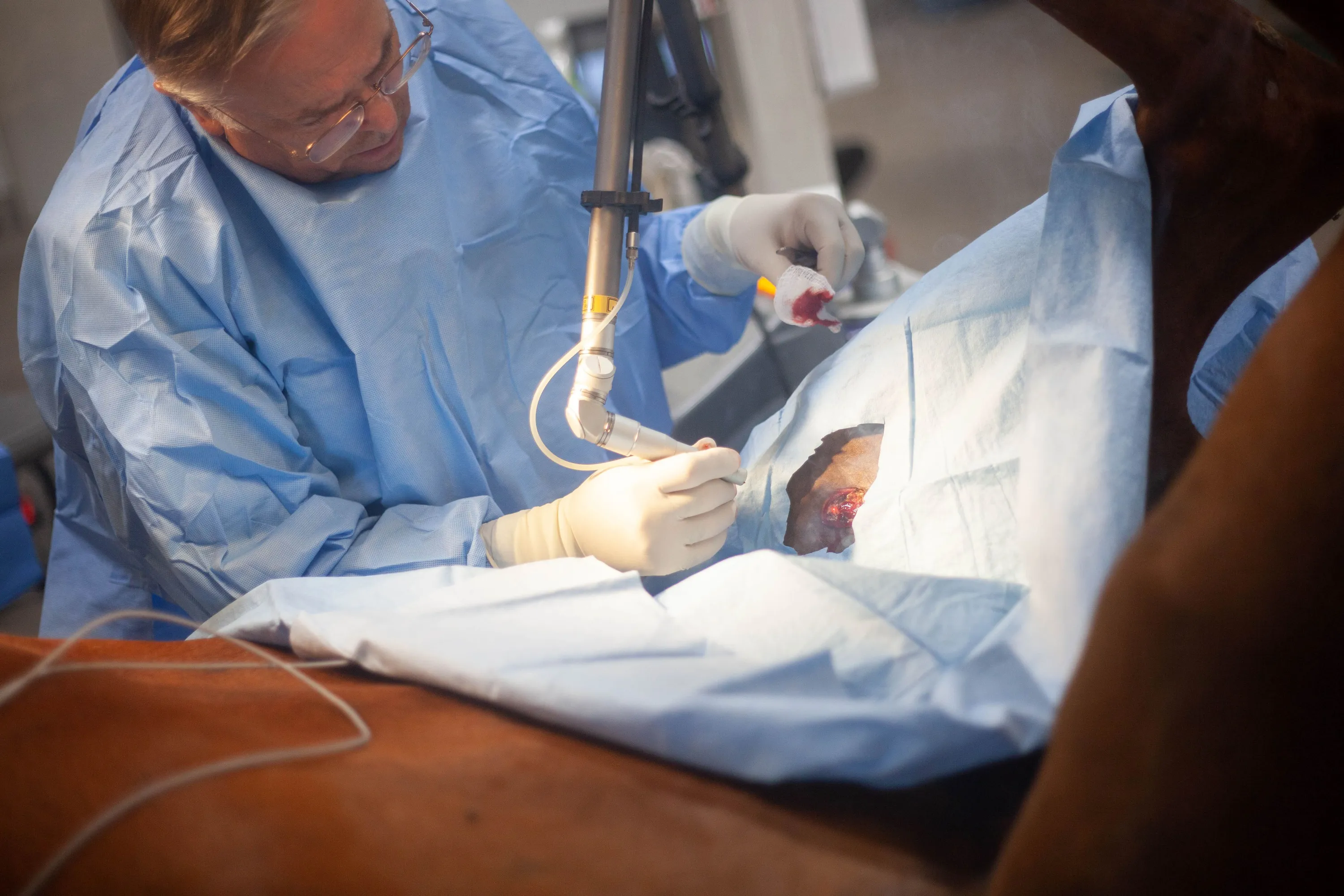 Equine surgery and horse care at Mountain River Veterinary Hospital
